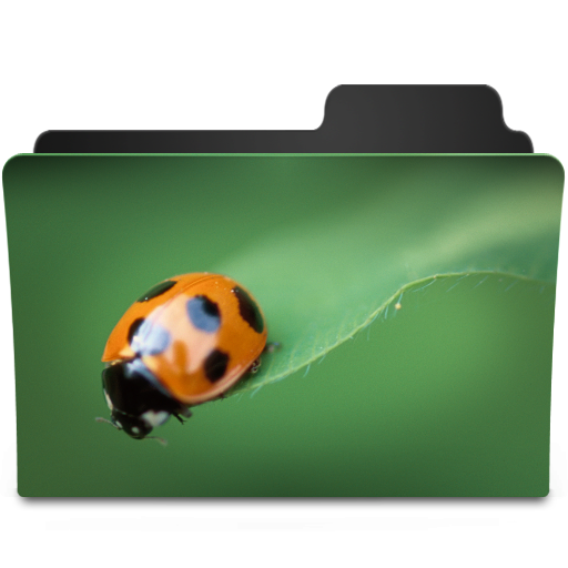 Bug I Icon 512x512 png